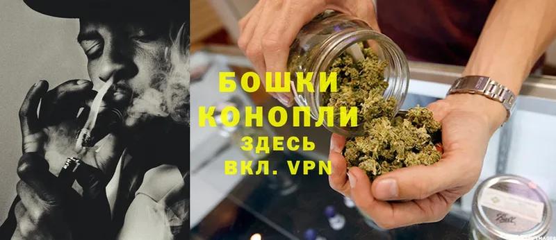 Конопля LSD WEED  Новоалександровск 